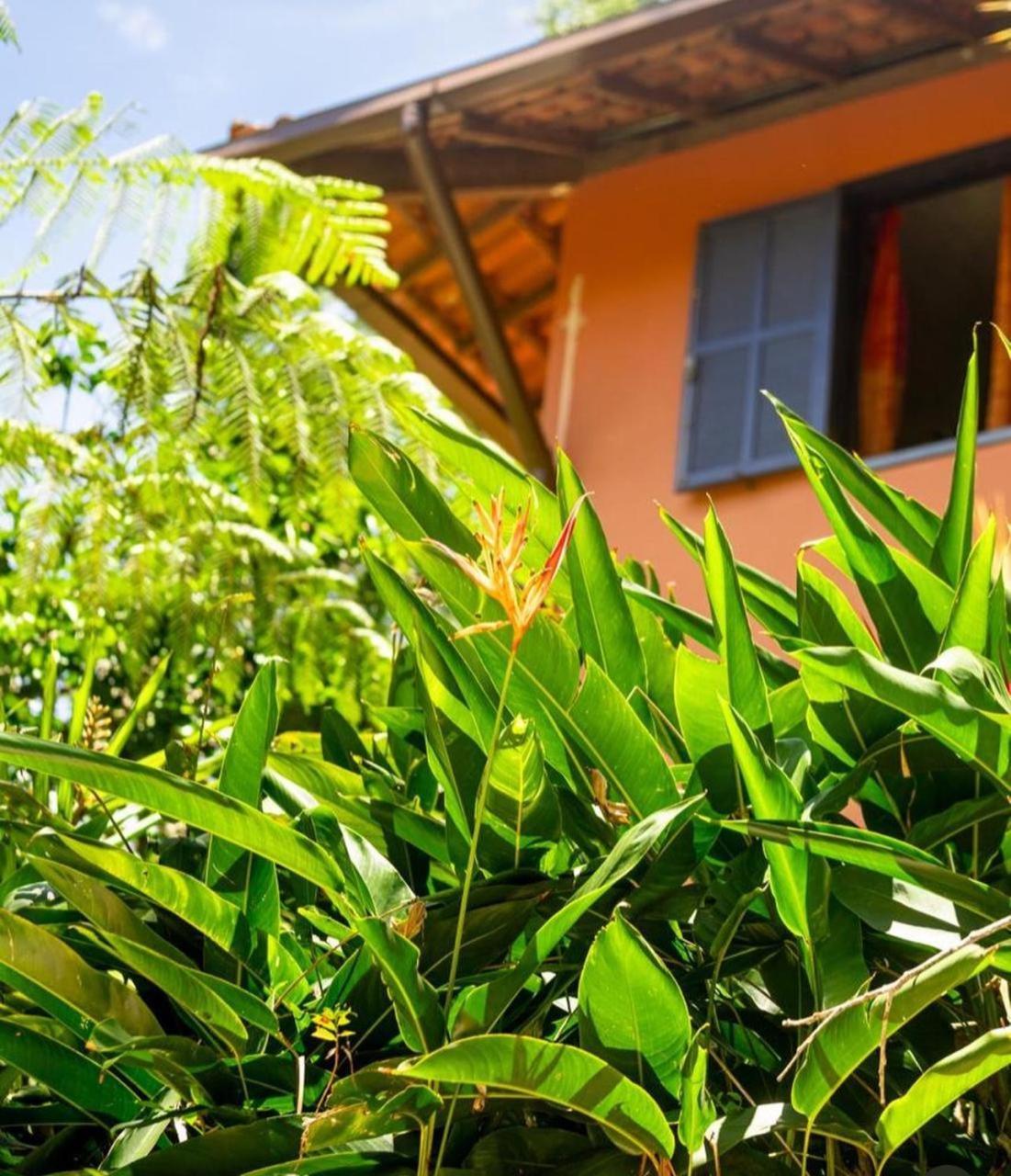Sitio Flor Das Aguas ลูเมียร์ ภายนอก รูปภาพ